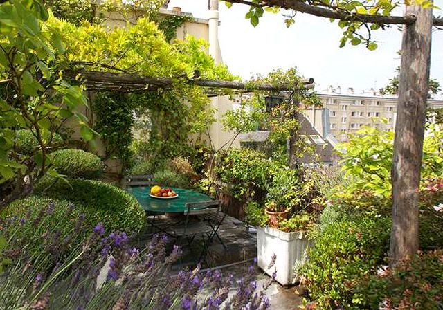 Jardins verticaux : optimisez l’espace dans les petits jardins avec style !